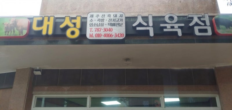 사진 4