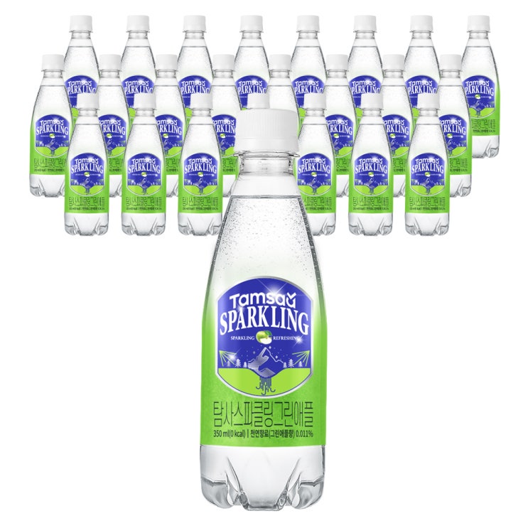  쿠팡 브랜드 - 탐사 스파클링 그린애플 탄산음료, 350ml, 24개입