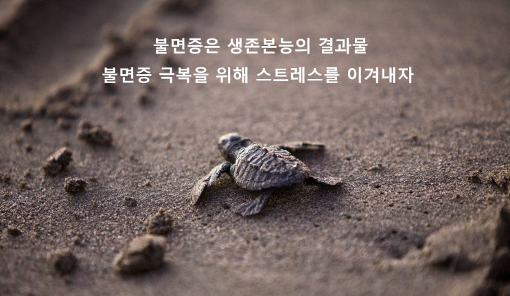  불면증의 원인인 스트레스에 강해지는 방법으로 불면증을 극복하자 - 부산 가온자리한의원 불면증 한방치료