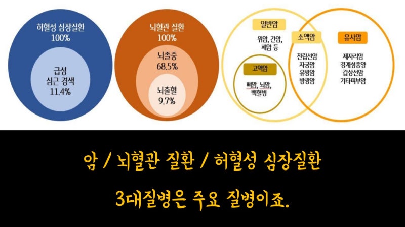 3대 질병보험 및 심근경색보험 보장 알아봅시다.