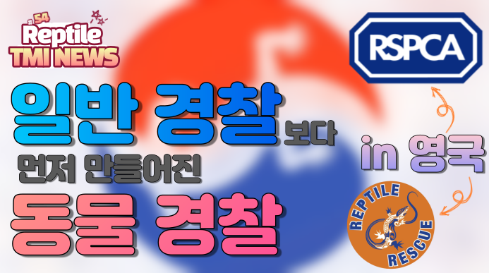  Reptile TMI NEWS (54회) - 영국은 일반 경찰보다 동물 경찰이 먼저 만들어졌다. RSPCA (feat. 영국 파충류 구조대 )