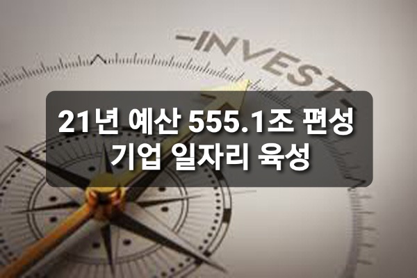  내년 예산 555.8조 K 뉴딜 투자 비중 ↑