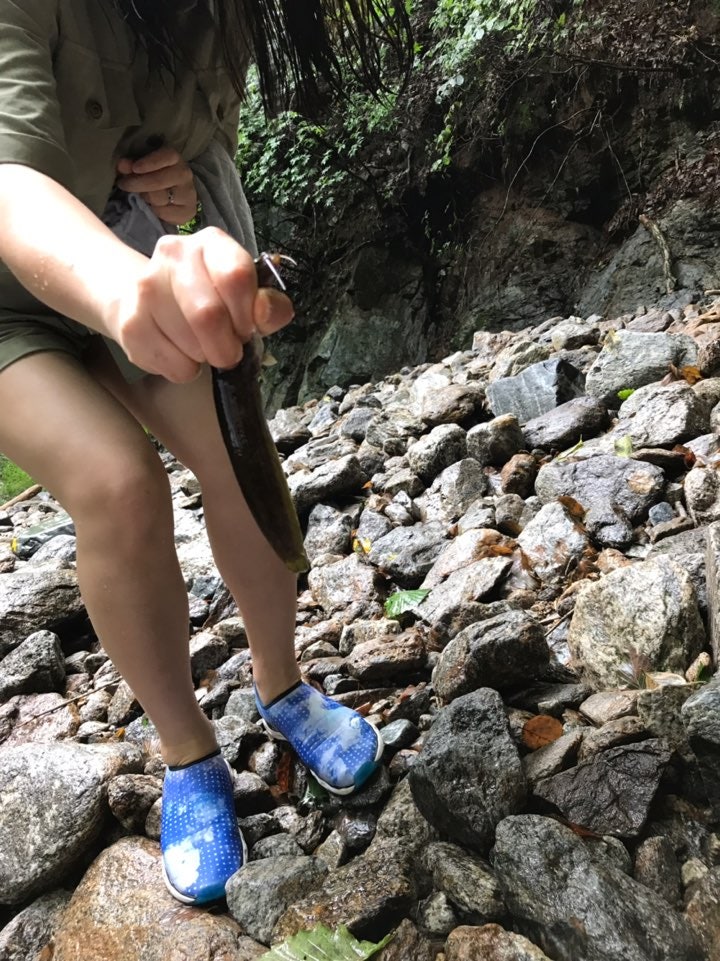 산골나그네펜션 사진 5