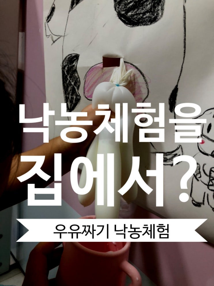  집에서 젖소 우유 짜기 낙농체험(4세 집콕놀이)