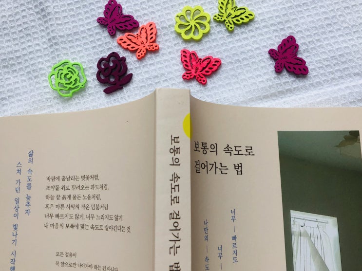  [감성 에세이] 빠르지도 느리지도 않게 보통의 속도로 걸어가는 법