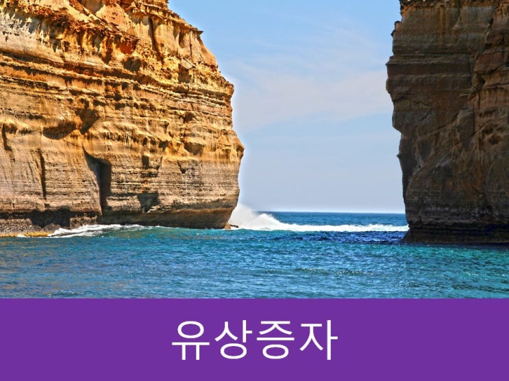  테슬라, 50억 달러 유상증자 및 장점/유의사항!!