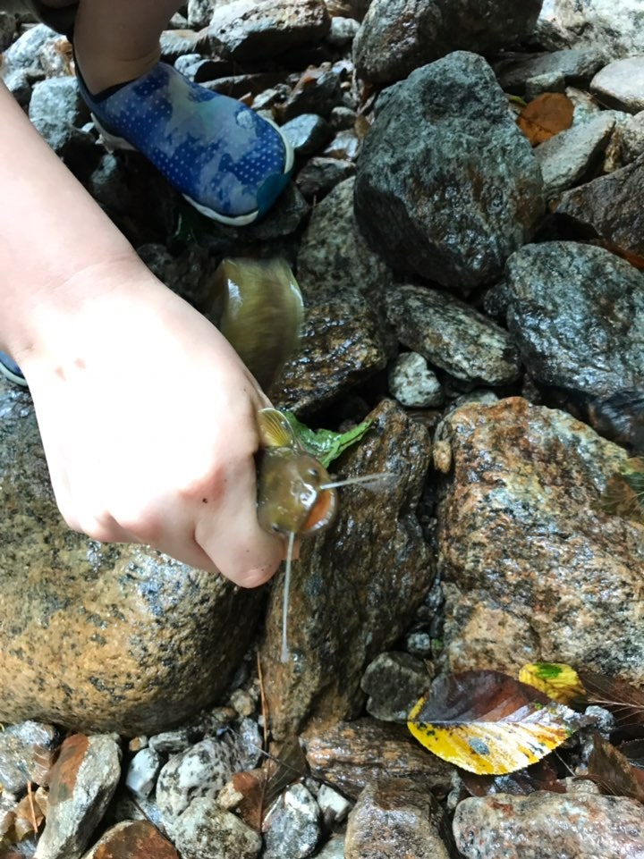 산골나그네펜션 사진 6