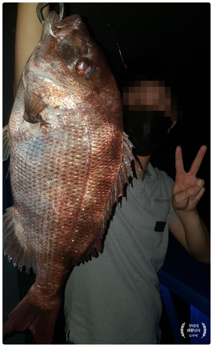  짜릿한 손맛 보장 되는 서울근교 뚜루 실내바다낚시터 잡은 생선 바로 회떠먹었어요. 방문 리뷰