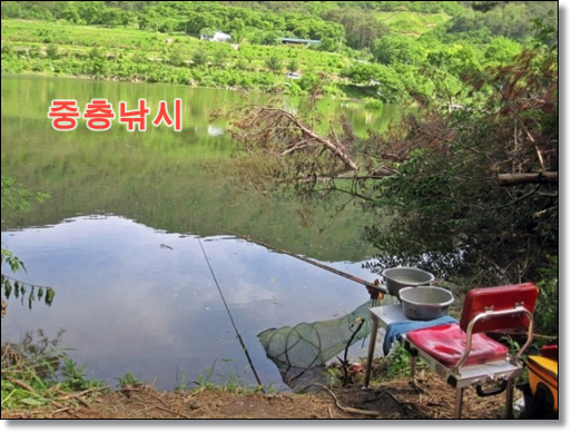  민물 중층낚시 배워보기