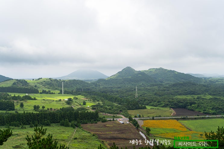  백가지 약초 "백약이오름" [제주도 한달살기 숙소 씨사이드 이든 추천]