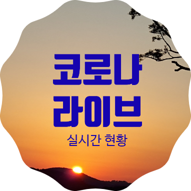 코로나19 실시간 확진자 현황, 궁금증을 바로 풀어드립니다.