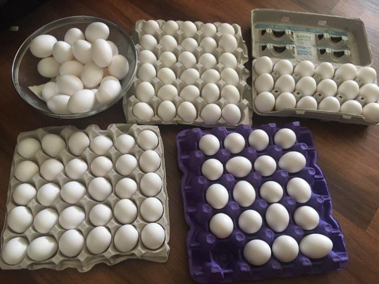 미국 계란, 미국 달걀
