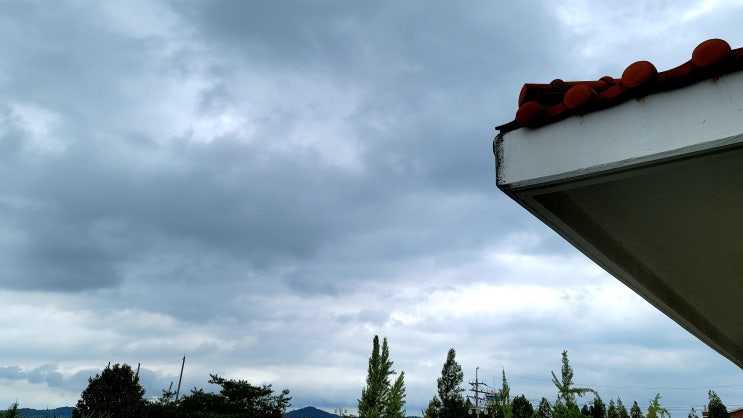  [블로그씨/일상]창문 밖 풍경