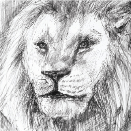 볼펜으로 그린 " 라이온킹 " / Drawing with ballpoint pen " The Lion King "