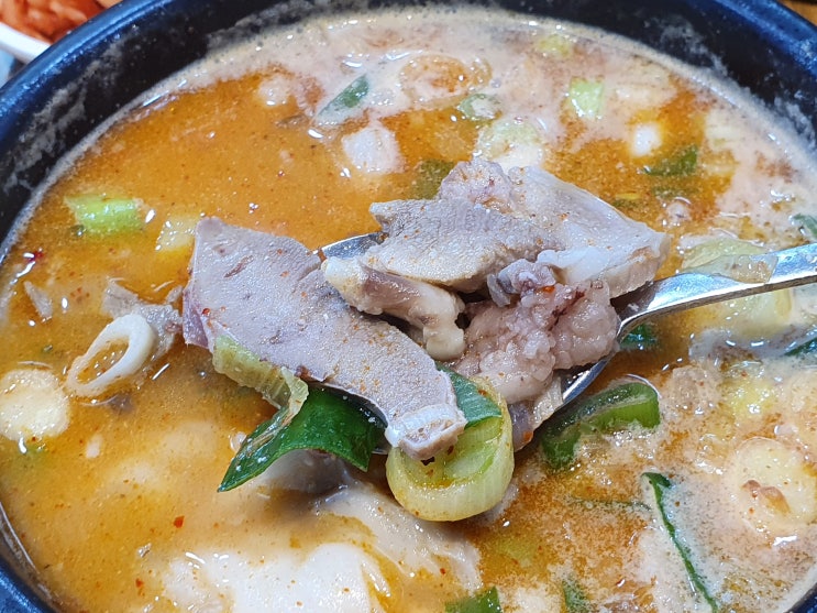  광화문 밥집 신의주 찹쌀순대 솔직후기