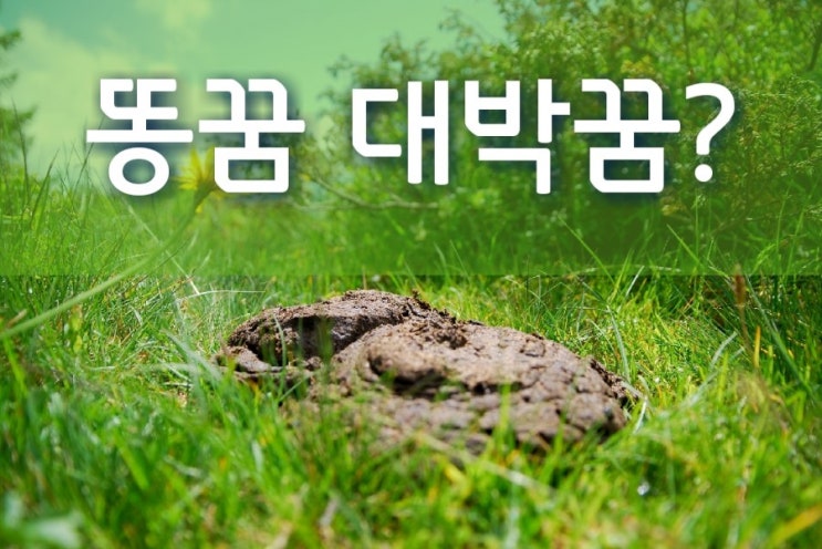  똥꿈 똥 싸는 꿈 대변꿈 찐체험 시원하게 알려드립니다