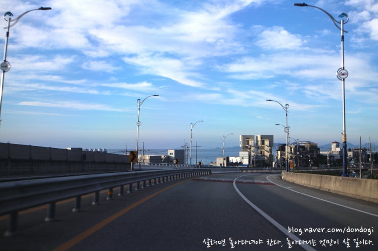 울진 백암온천 한화리조트 - 은영이에게 던진 디럭스룸 호캉스, 그리고 백일홍꽃길