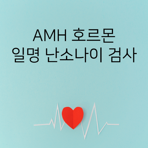  배란 -1일 (임신1주 6일) 난소나이 검사 결과 나왔다아아