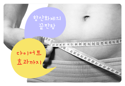  [나트롤 알파리포산] 최고의 항산화제 알파리포산을 아십니까?