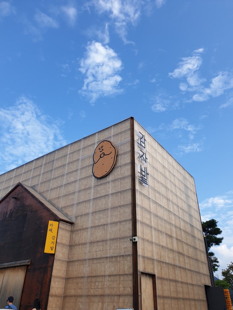  춘천 예쁜 정원이 있는 분위기 좋은 카페 감자밭 (가격 , 후기)