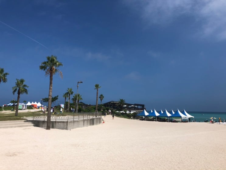  에메랄드빛 제주 해변 함덕해수욕장 그리고 서우봉 해변