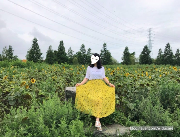  대부도 바다향기테마파크/ 시화나래휴게소 달전망대/ 카페에바다/ 장보화 손칼국수