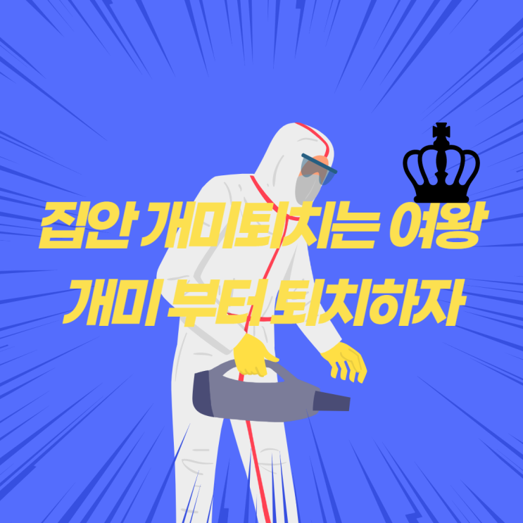  집안 개미퇴치는 여왕개미 부터 퇴치하자