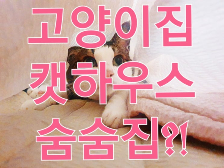 고양이집 만들기(고양이 숨숨집, 캣하우스), 초보 집사와 고양이의 만남!?