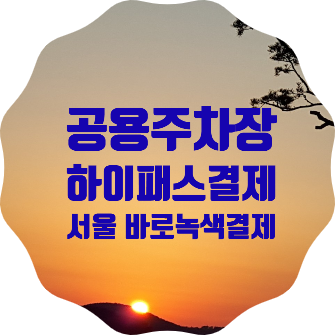  서울시, '지갑없는 주차장' 본격 운영, <바로녹색결제>가입해서 하이패스처럼 결제하세요