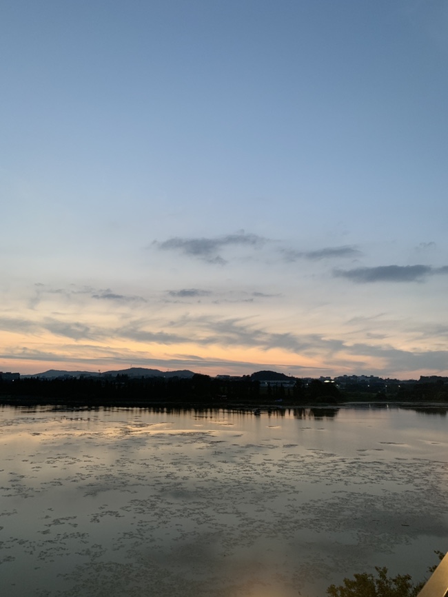  요즘은 하늘이 갈수록 높아지고 있다는 게 느껴져요~ 창문 밖으로 보이는 풍경 영상을 보여주세요!