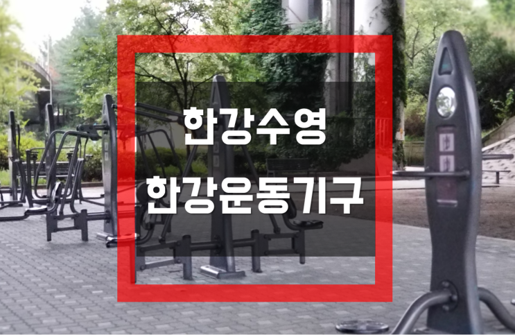  [미라클모닝, 새벽운동] 한강수영, 한강운동기구를 소개합니다.