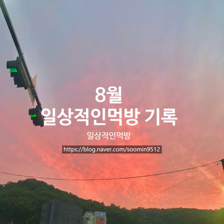  8월 일상적인먹방 기록