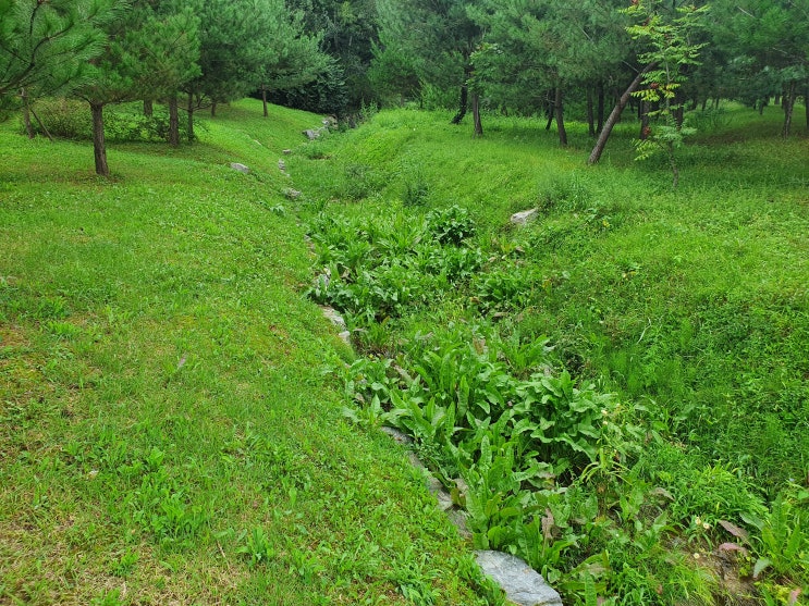  휘경천 2편 : 의릉 본류 보충 및 새로운 이름의 발견