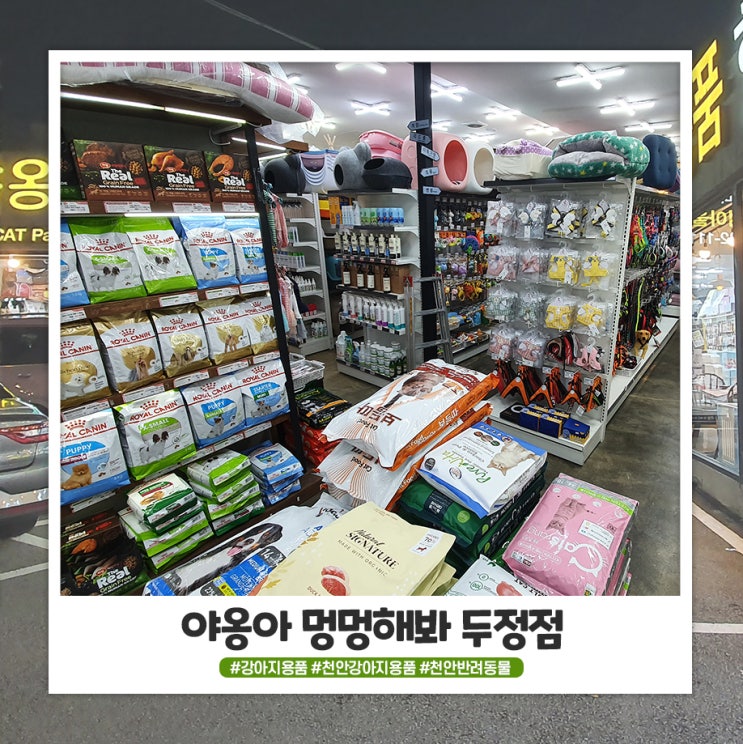 강아지용품 천국인 천안애견샵 야옹아멍멍해봐 두정점 강아지용품 천국인 천안애견샵 야옹아멍멍해봐 두정점