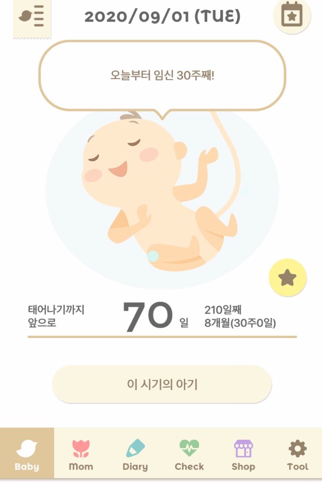  [임신 30주]임산부 기록"뱃속 태아 딸꾹질,엄마를 위한 건강수칙, 임신일기