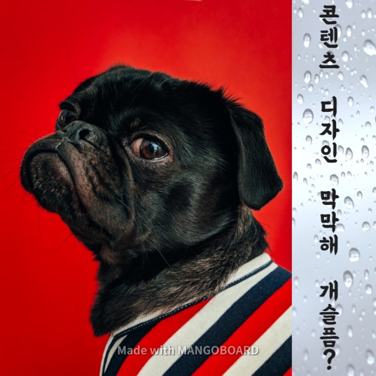  sns,유튜브썸네일,영상 디자인 어떻게? 5분만에 클릭으로 감각있는 콘텐츠 만들어봄(무료 디자인 서비스 플랫폼 추천)
