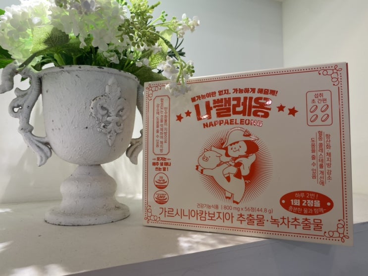  나뺄레옹 _ 섭취가 간편한 다이어트보조제로 정체기 탈출