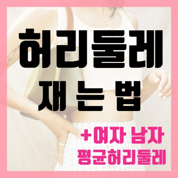  허리둘레계산기, 여자허리둘레(센치인치변환!)