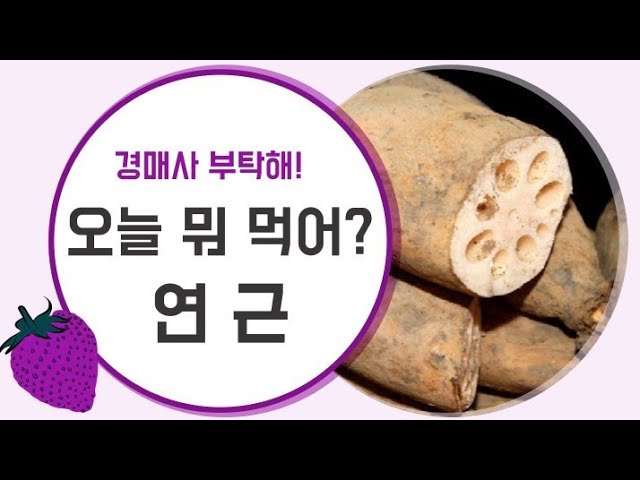 경매사에게 부탁해! 오늘은 뭐  먹어? (연근)