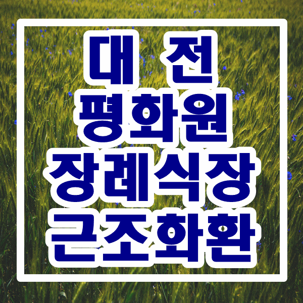  대전 평화원 장례식장  중구 꽃배달 당일 배송 가능