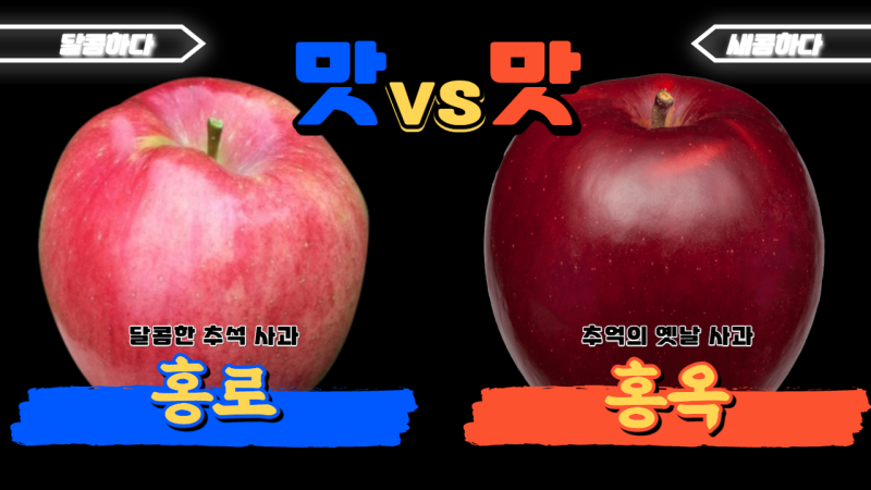 #홍로 #홍옥 구별하기