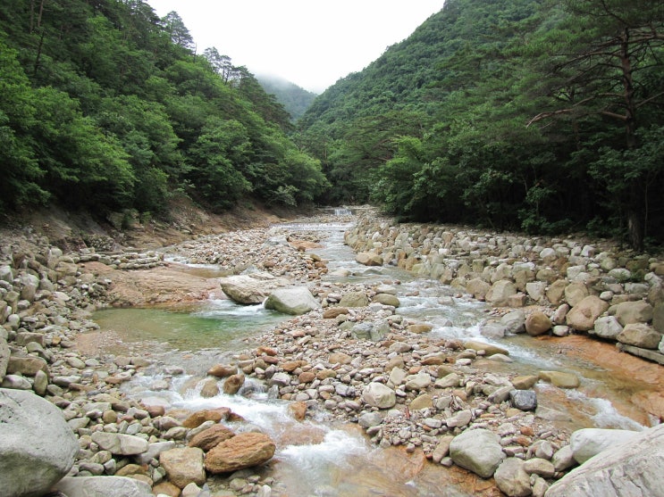  c건물주(建物主) 말고 산주(山主) 어때요? 나도 산(山) 하나 갖고 싶다!