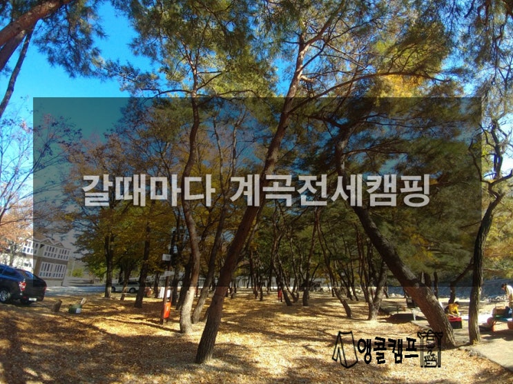  갈때마다 계곡전세캠핑