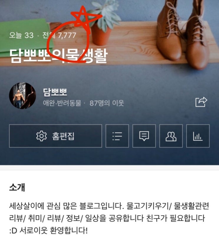  블로그방문인원 7777명