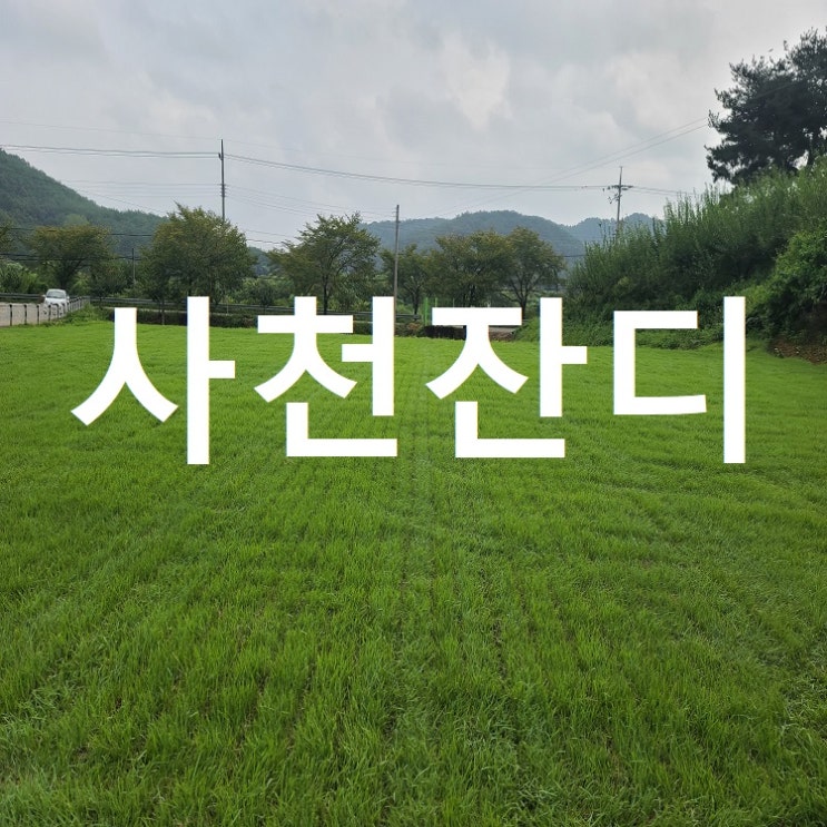  첨단 항공산업의 메카 경남 사천 잔디 구매 방문