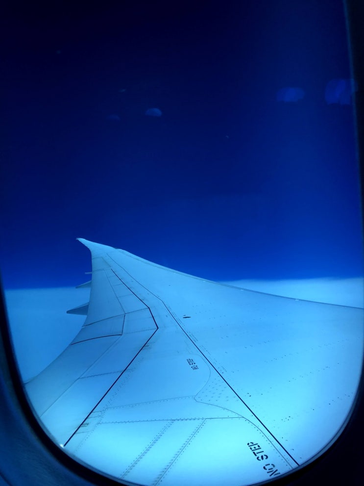  해외입국 (밴쿠버-서울) ; 인천공항 도착전 입국서류 작성하기