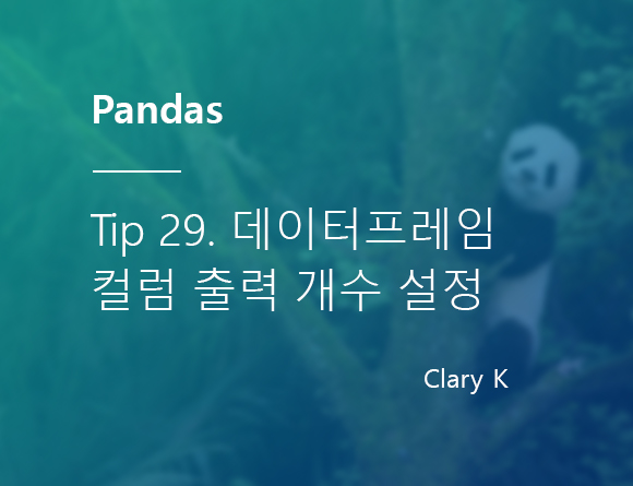 [파이썬] 판다스(pandas) 팁29. 데이터프레임 컬럼 최대 출력 개수 지정하기, set_option 디스플레이 설정