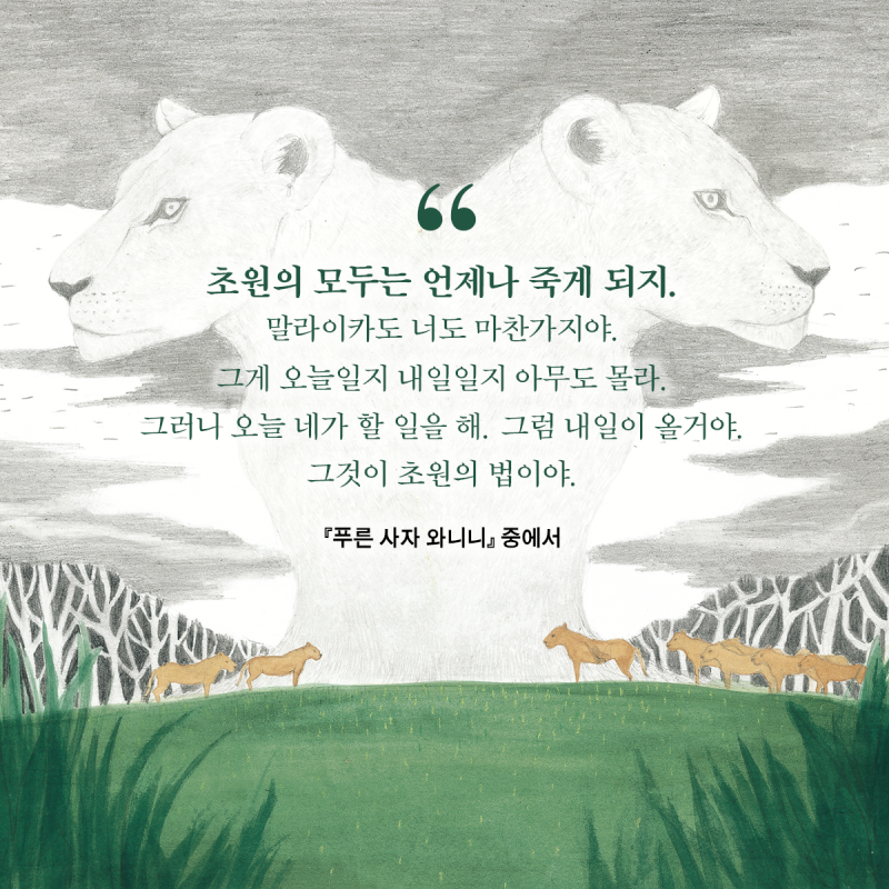 푸른 사자 와니니』 문장 함께 읽기🔎🌼 : 네이버 블로그