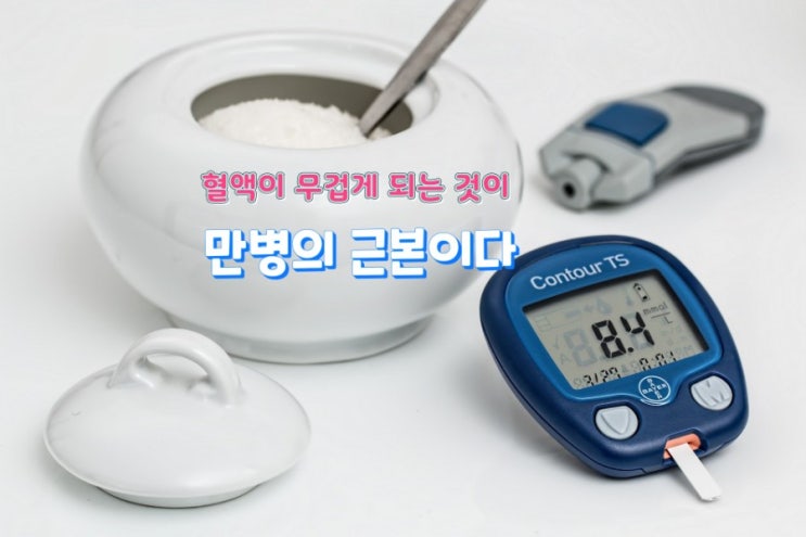 혈액이 무겁게 되는 것이 만병의 근본이다 혈액이 무겁게 되는 것이 만병의 근본이다