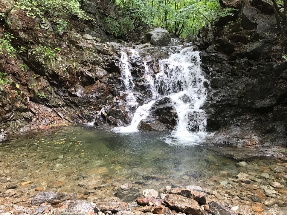 산골나그네펜션 사진 2